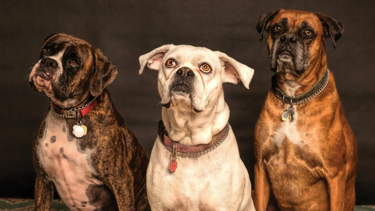 Use the Powerful Rule of 3 to Communicate