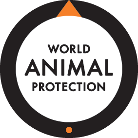 World Animal Protection Logo PNG (1).png