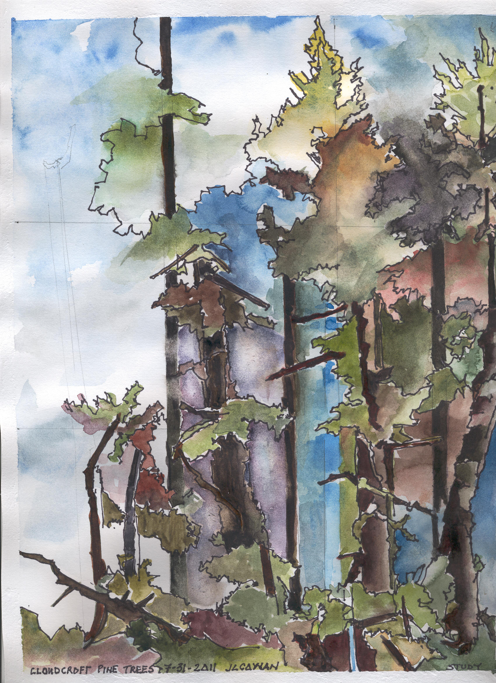 CLOUDCROFT TREE(1).JPG