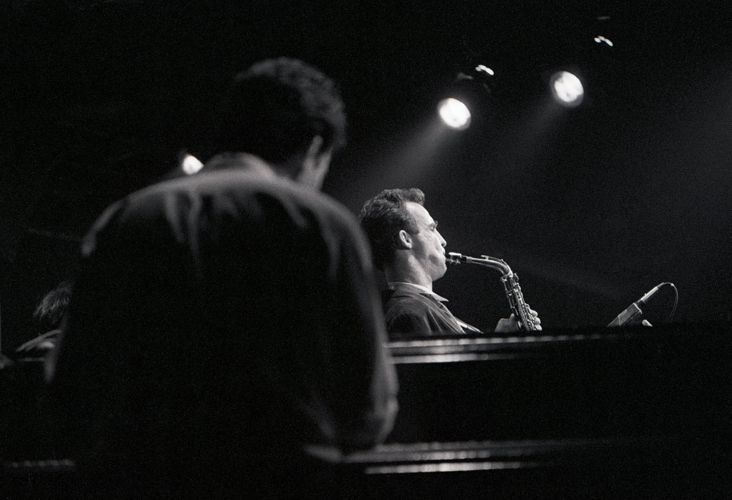 John Lurie, Lounge Lizards