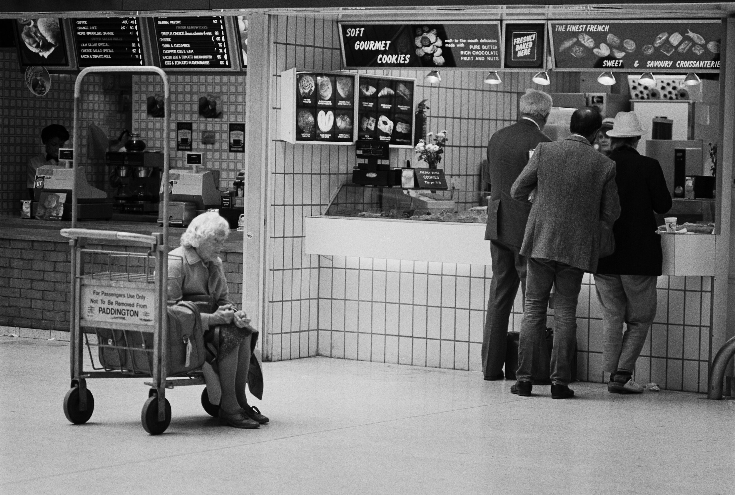 Old Bird in Paddington.jpg