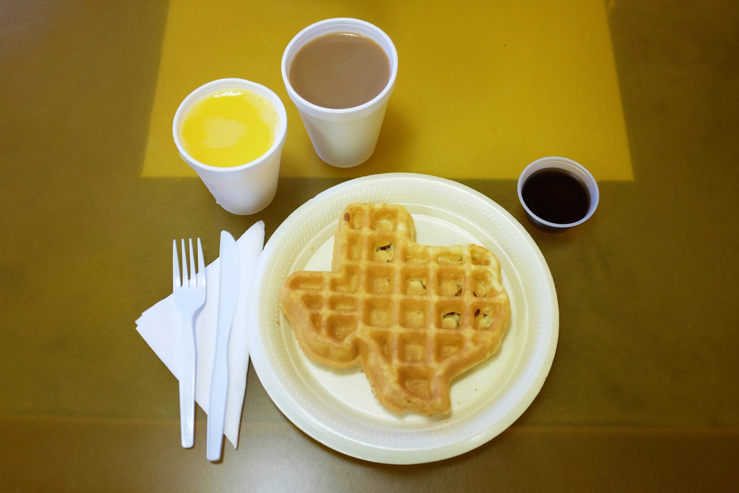 Texas Waffle copy.jpg