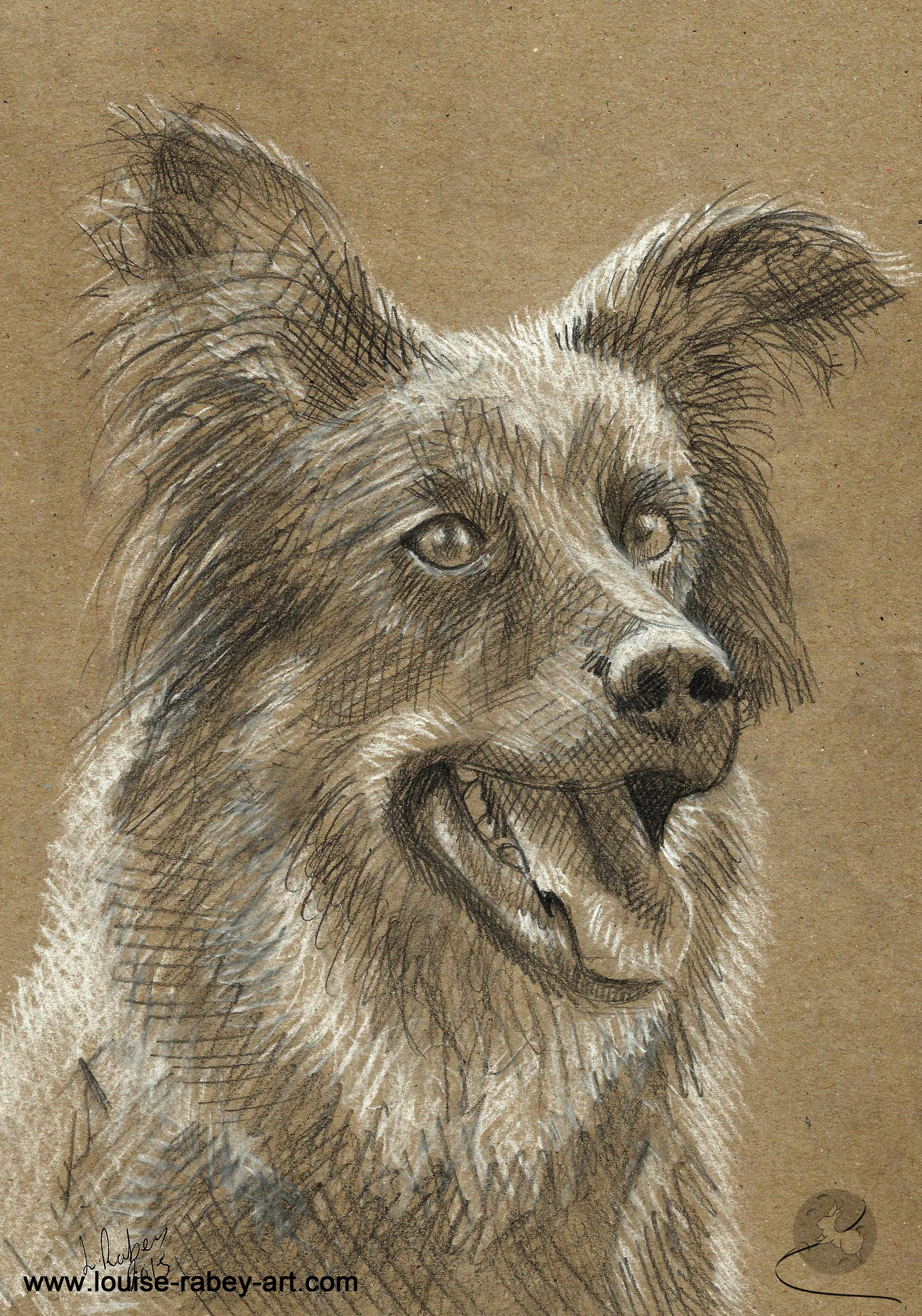 008 Dog sketch portrait.jpg