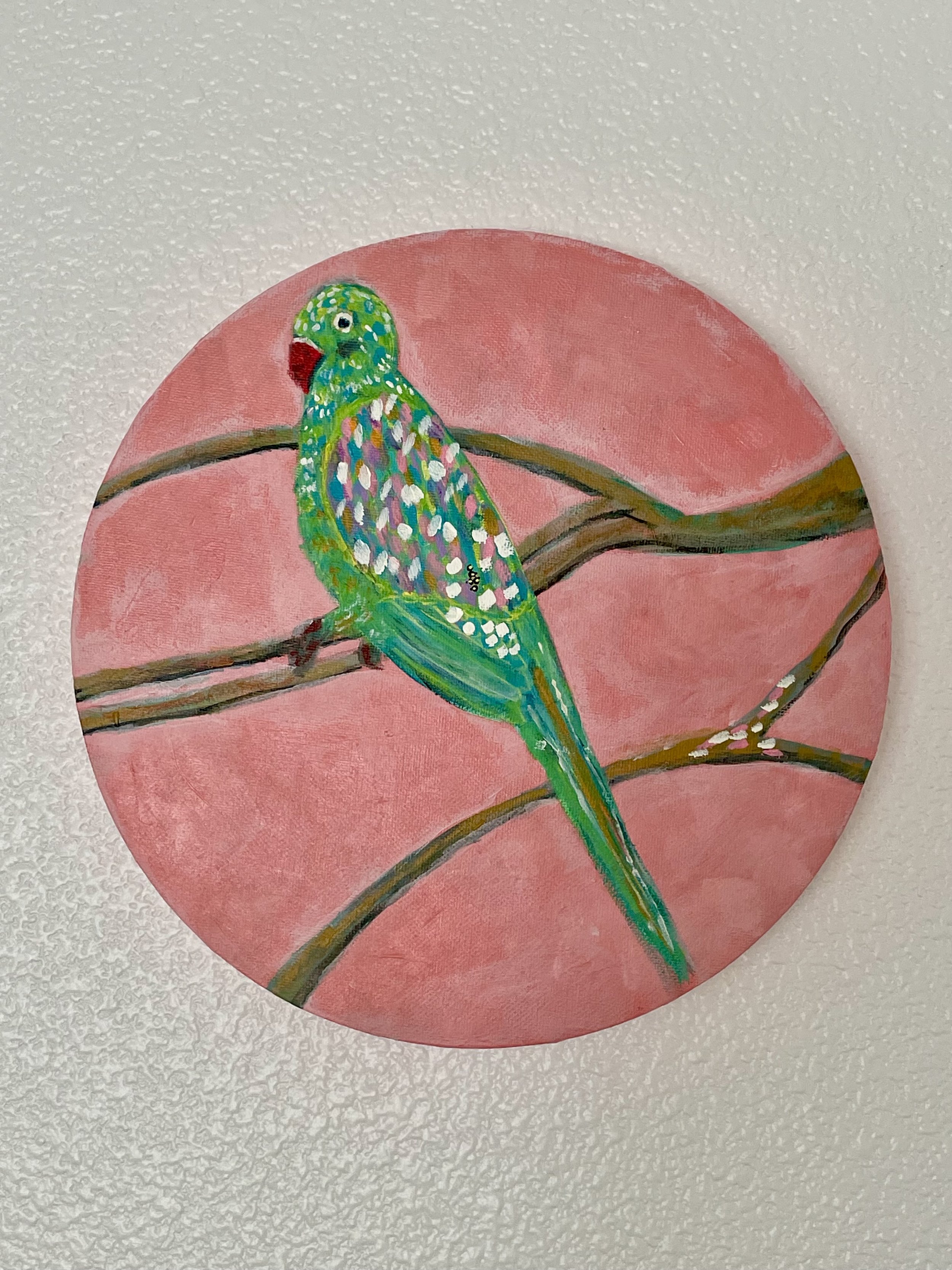 IMG_6012.jpeg