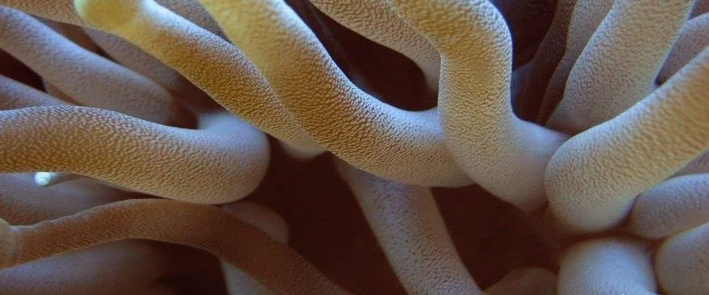 1.2015-04-30 15.31.57.jpeg