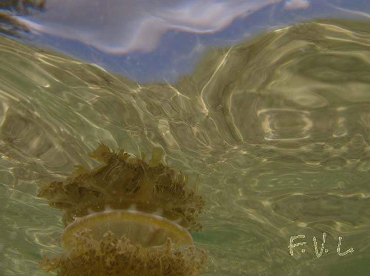 1.2015-04-30 16.25.38.jpeg