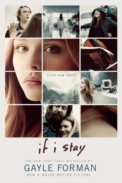 if i stay.jpg