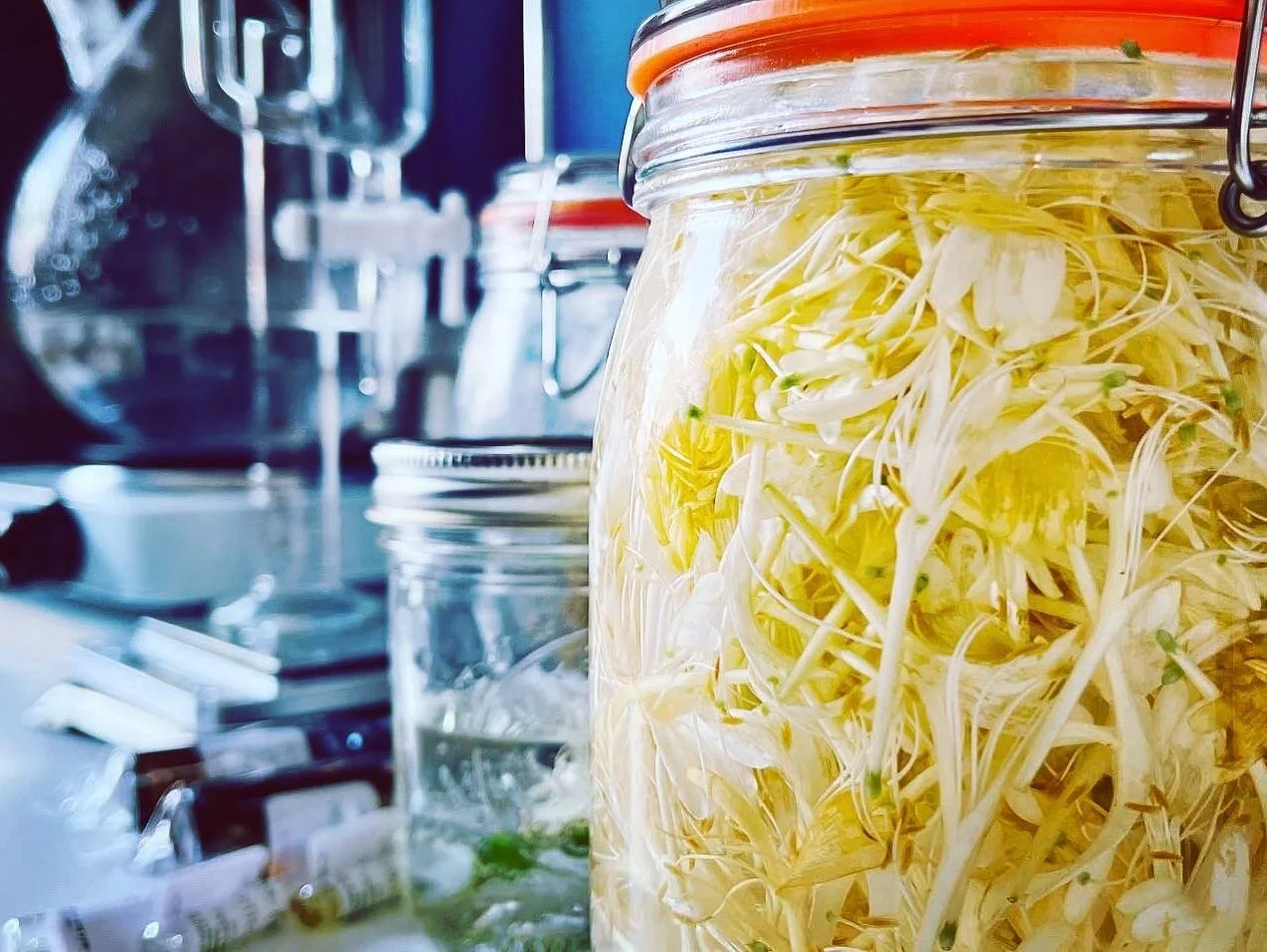 I grow, pick, process, and formulate every product by hand. Each small batch requires hundreds of hours.