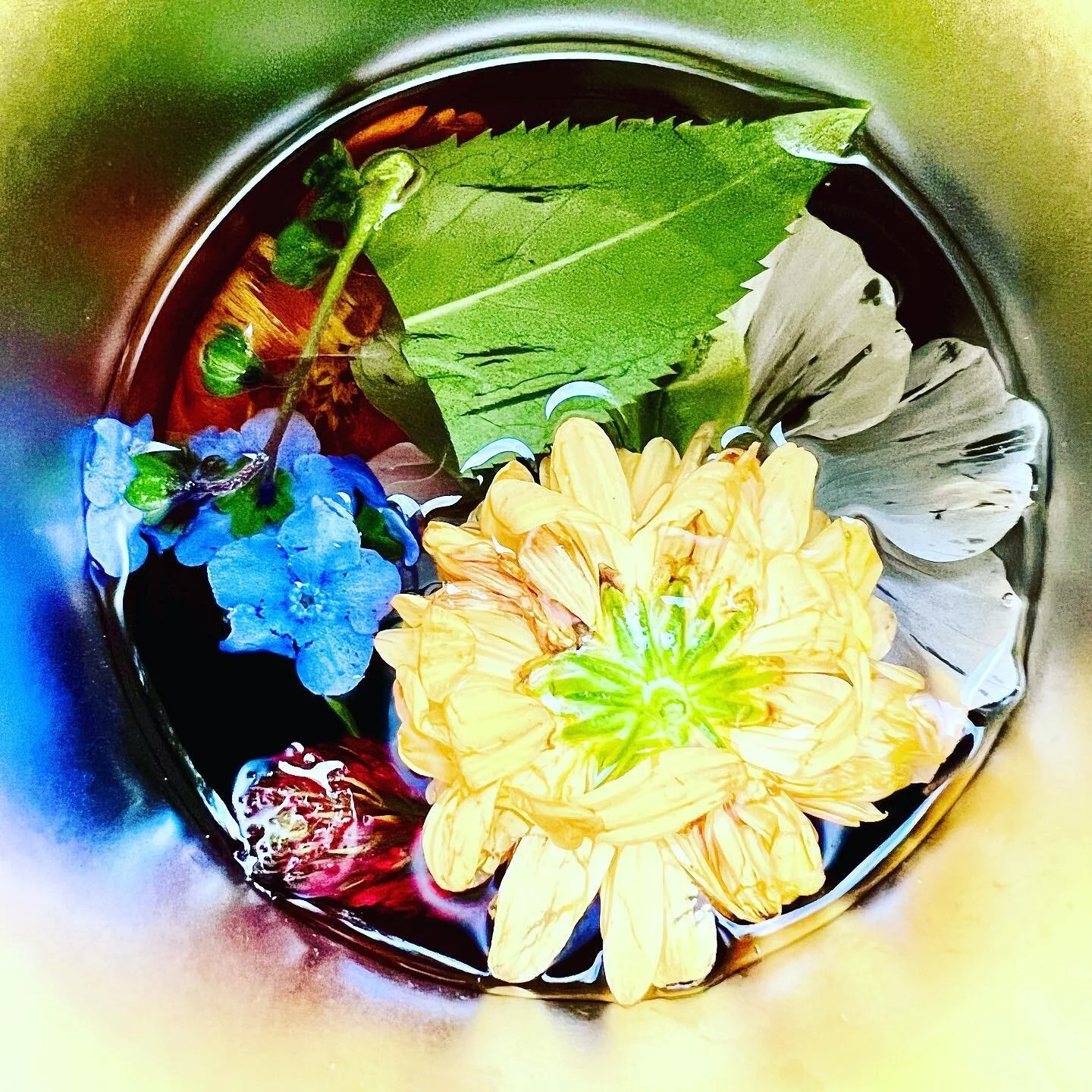 My children wanted to make #perfume too