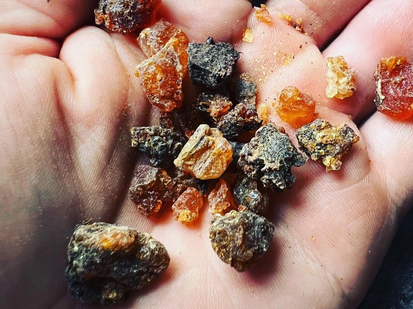 Somali Frankencense