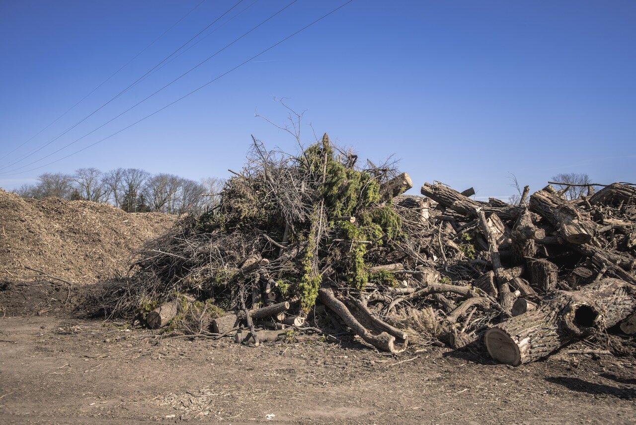 Tree Waste aka Resource 