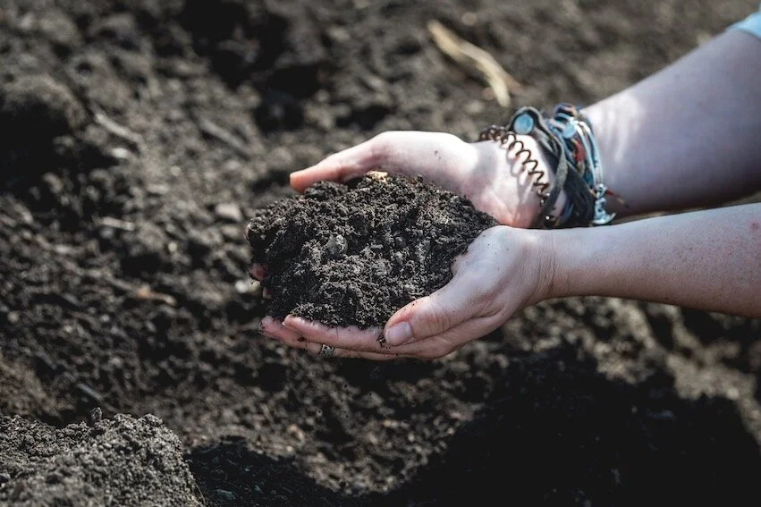Two hands holding Raised Garden Blend soil