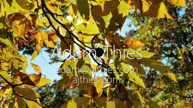 Adam Thies Demo Reel 2016