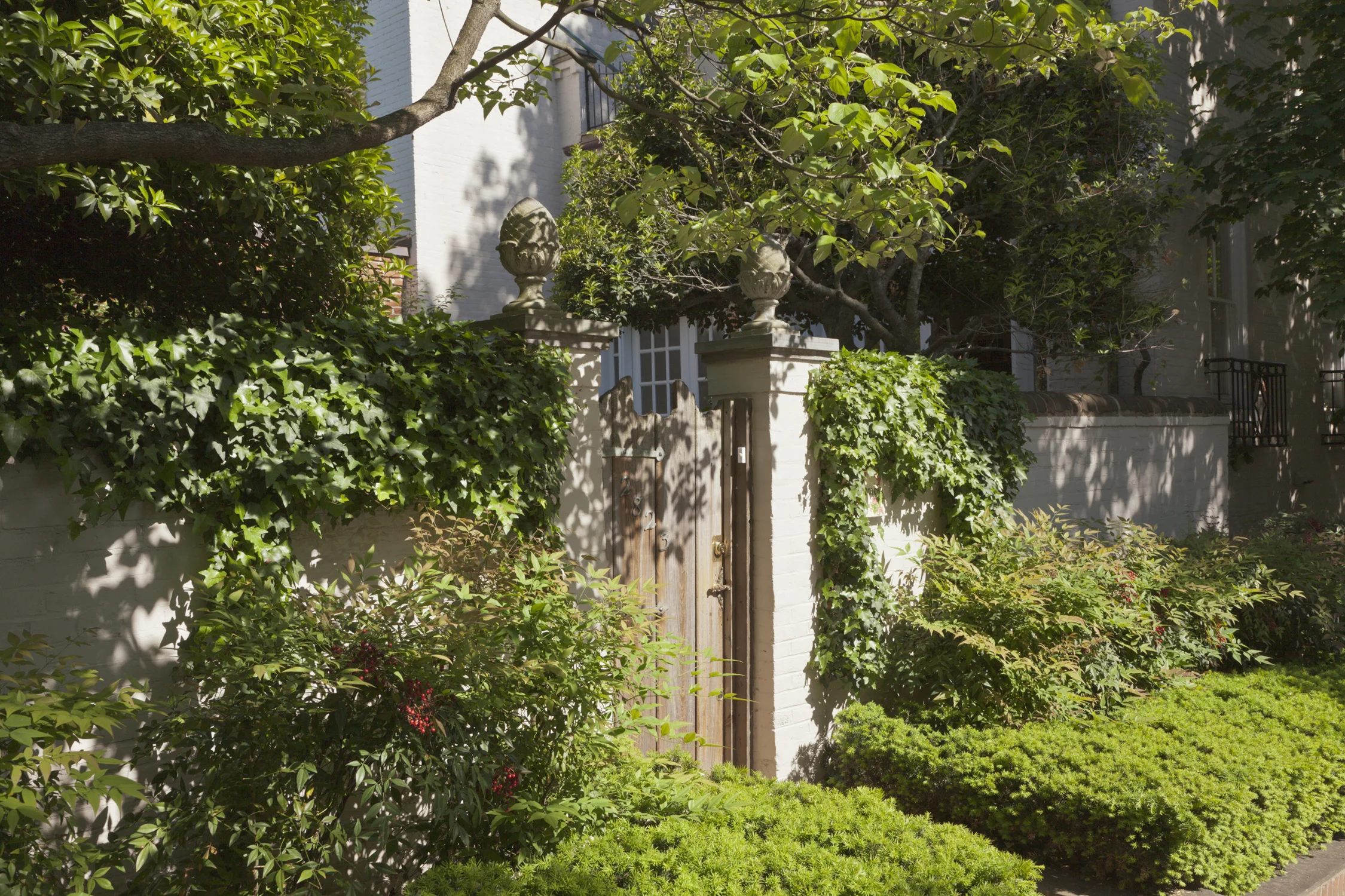 2823 Q garden gate copy.jpeg