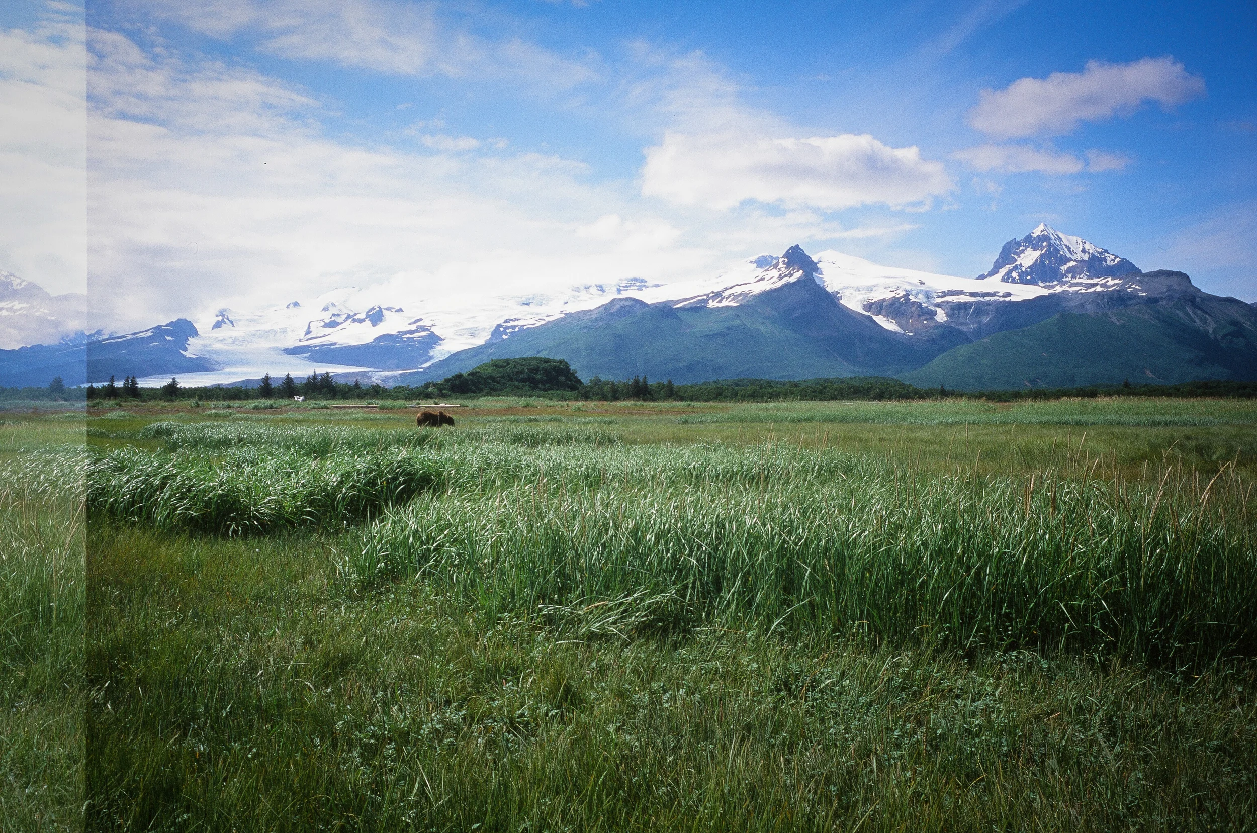 Alaska 35mm slide2-1.jpg