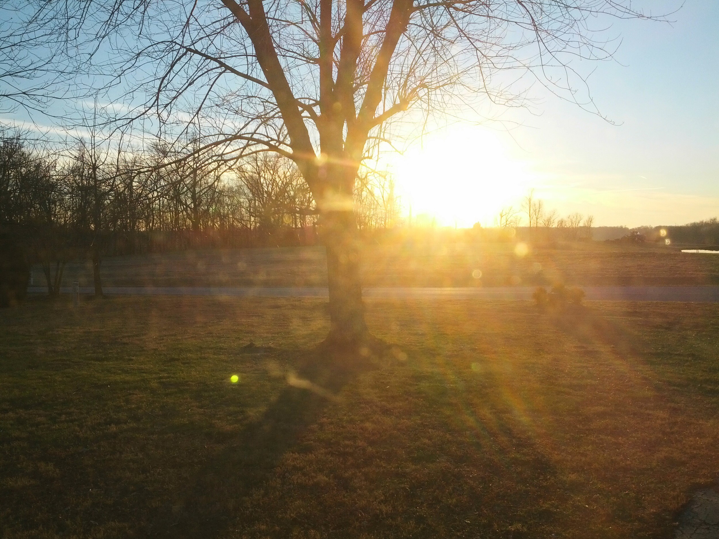 img_20131227_1610331.jpg
