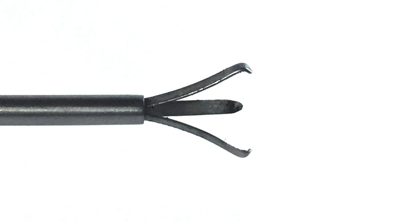 A2156.jpg