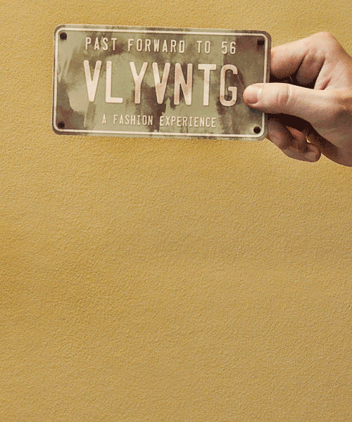 vvLicensePlateFlip.gif