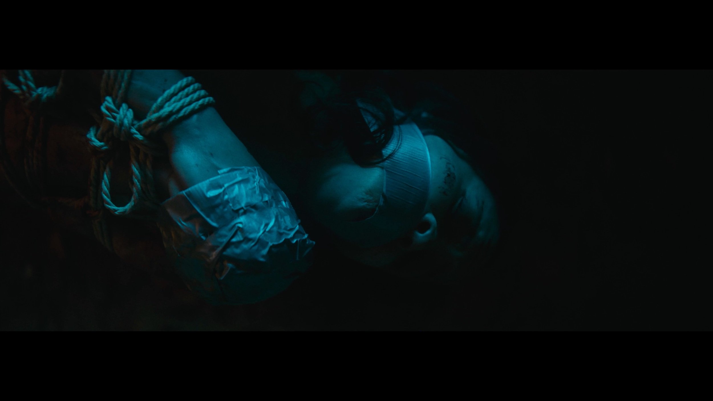 They See You (Preview)