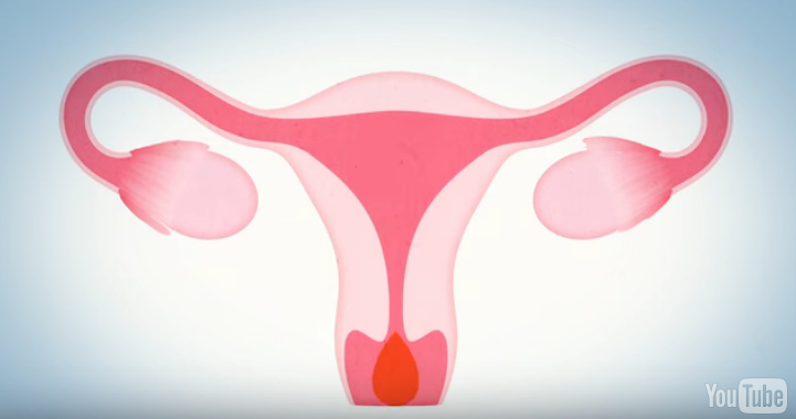 Critical Menstruation Studies, Week 1: Binaries, Vocabulary, and Controversial Norwegian Sex Ed Videos