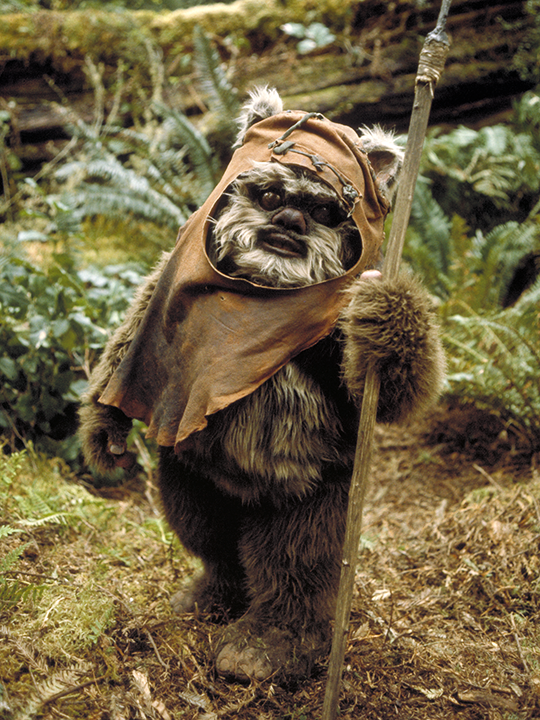 Wicket_RotJ.png