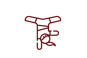 gymnastics.png