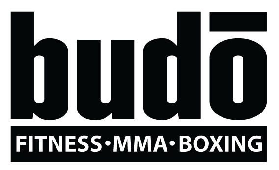 Budo-Logo-Vector-File.png