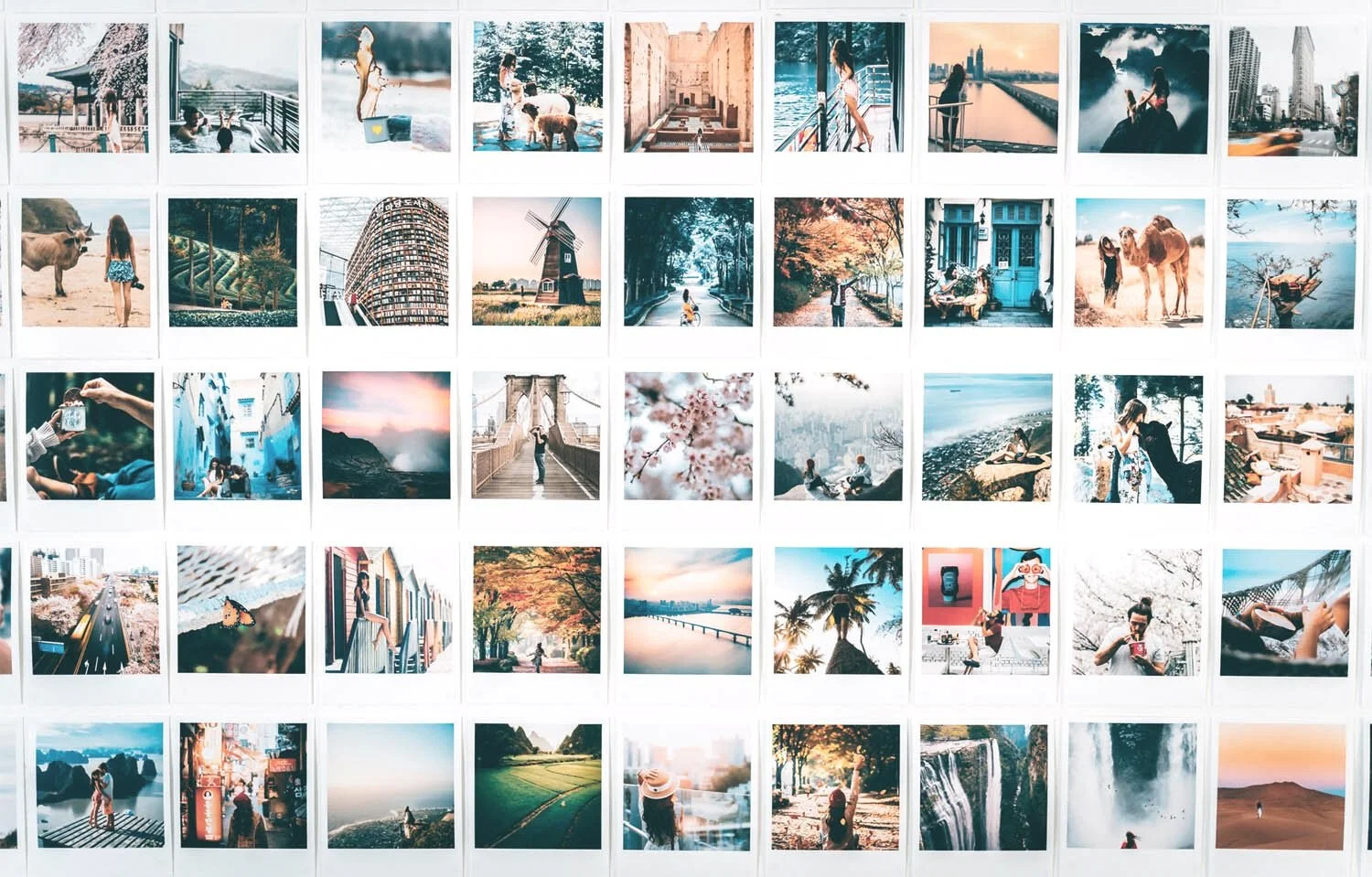 2020 Wrap Up: A Year of Amazing Client Stories