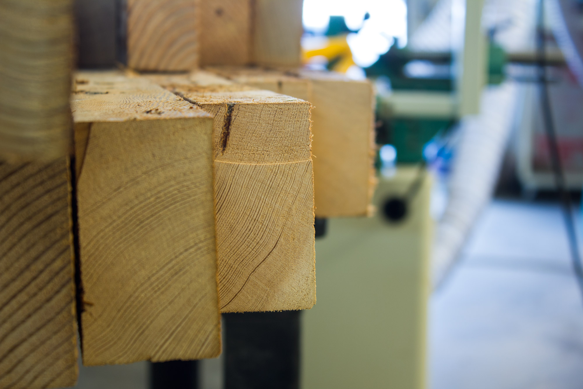 Look at those growth rings!