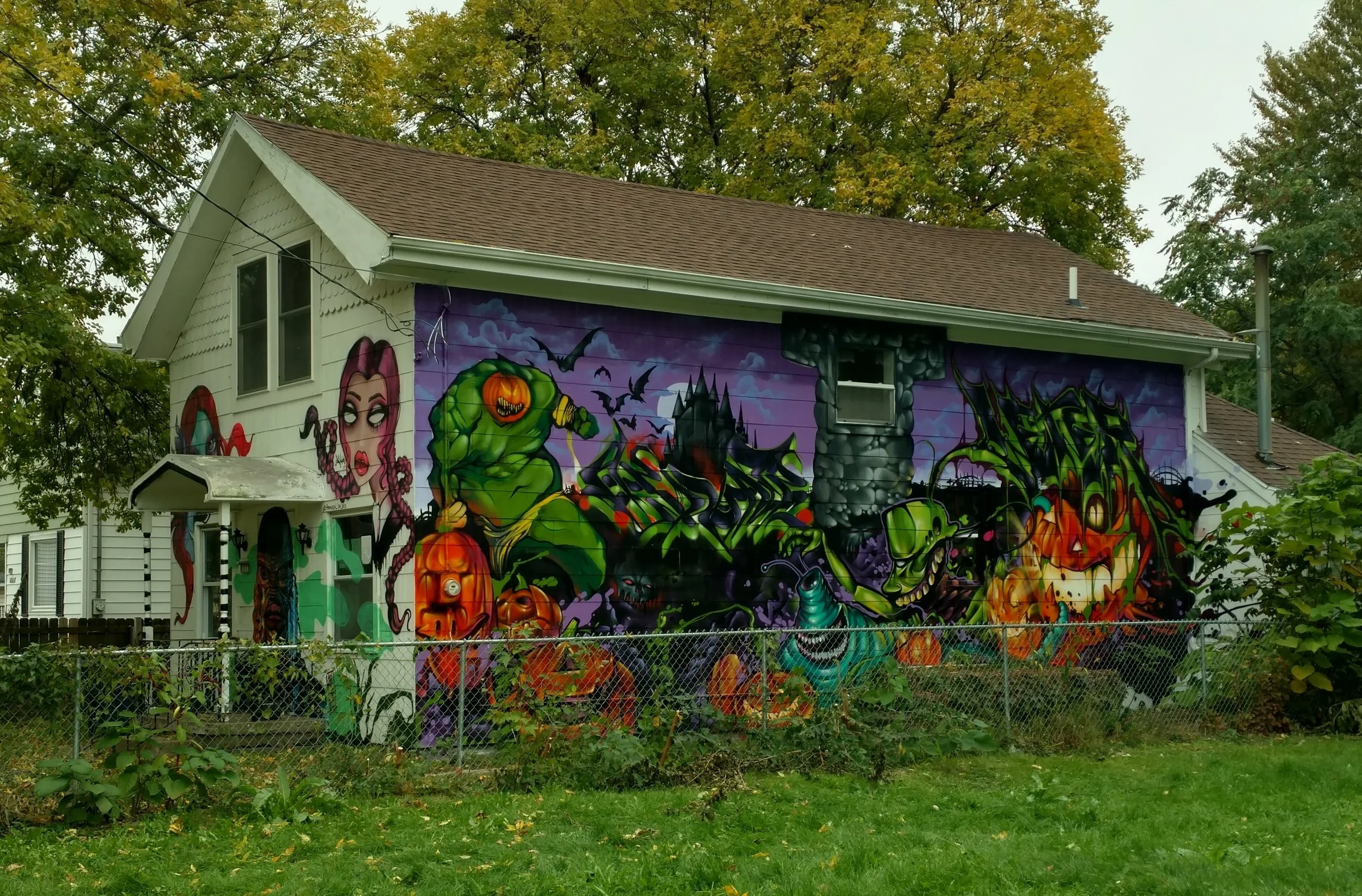 Scarce Elementz Crew - Vacant House Mural - Des Moines, Iowa - October 2017