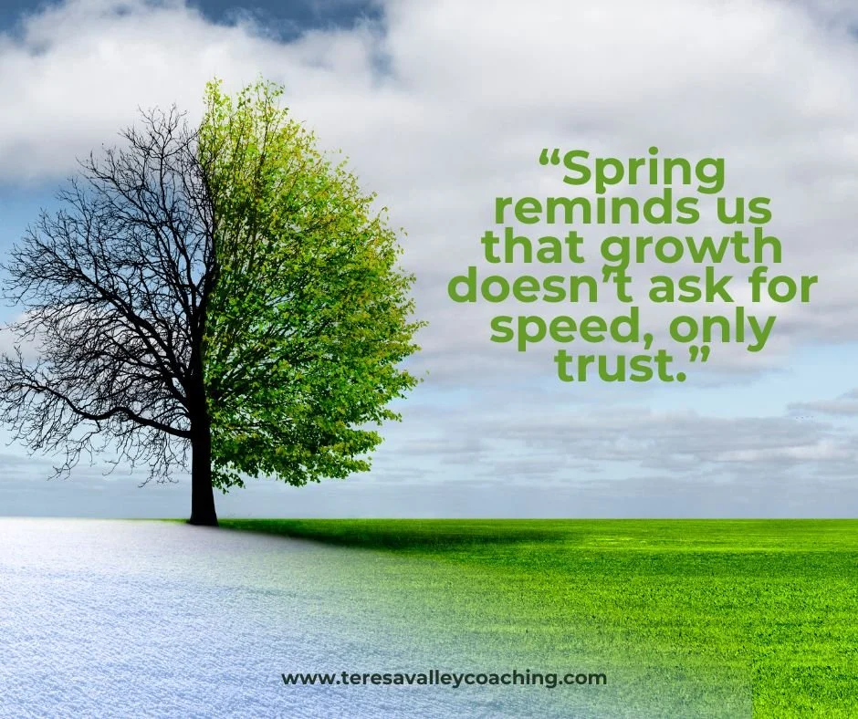 White Green Simple Spring Facebook Post.jpeg