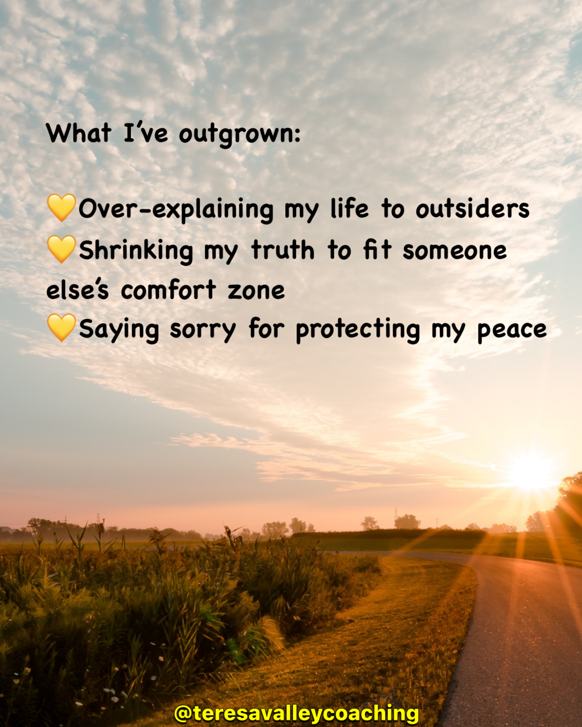 IMG_3449.PNG