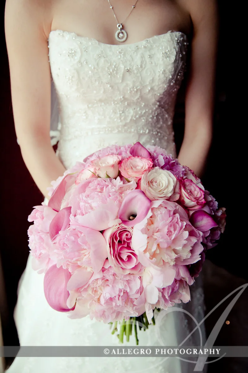 allegro-photography-web-086.jpg