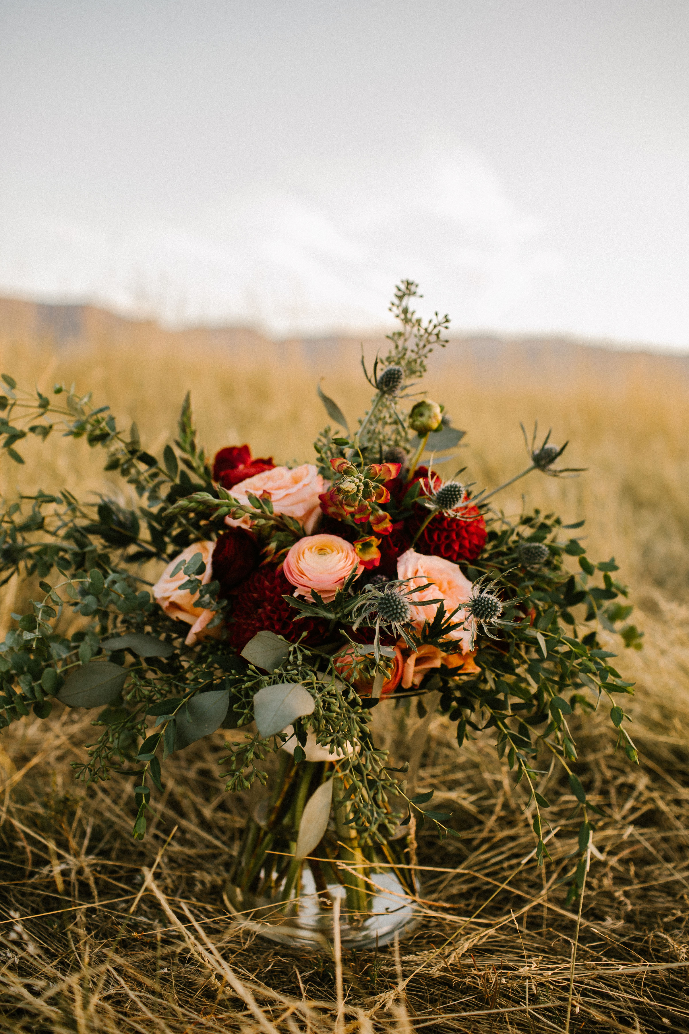 Captured by Dyann Diercks Photography