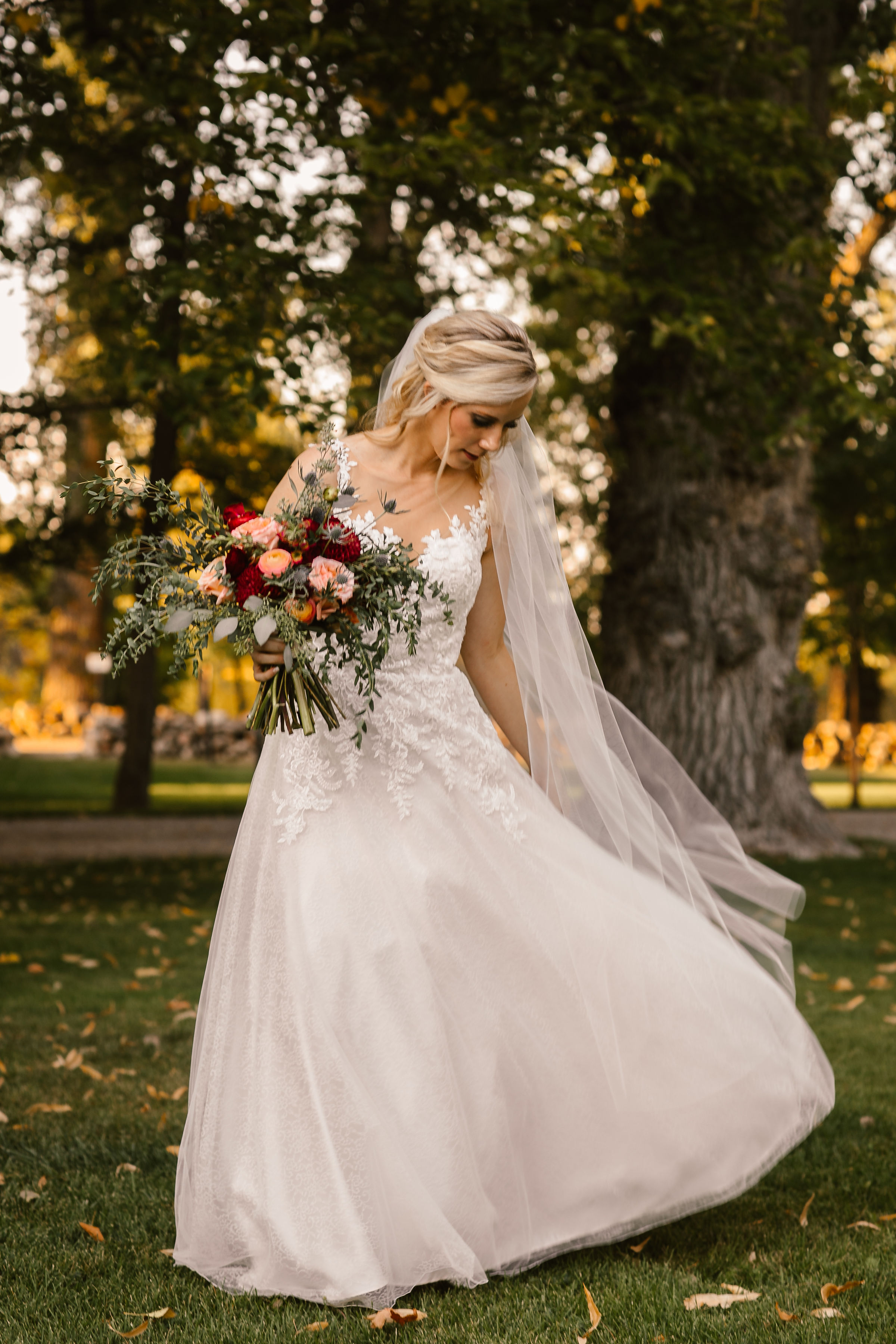 Dyann Diercks Photography