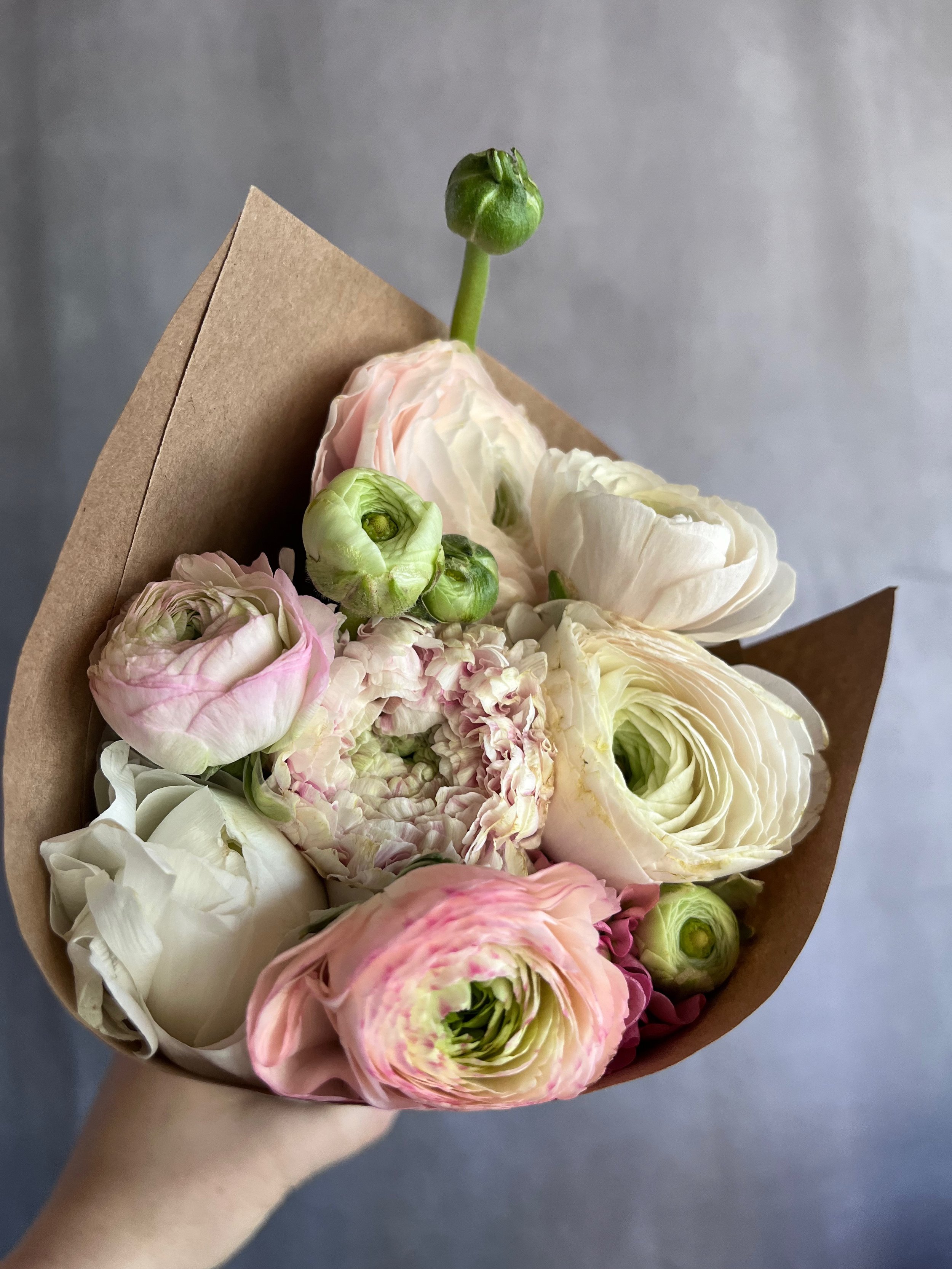 ranunculus bunch - 1.jpeg