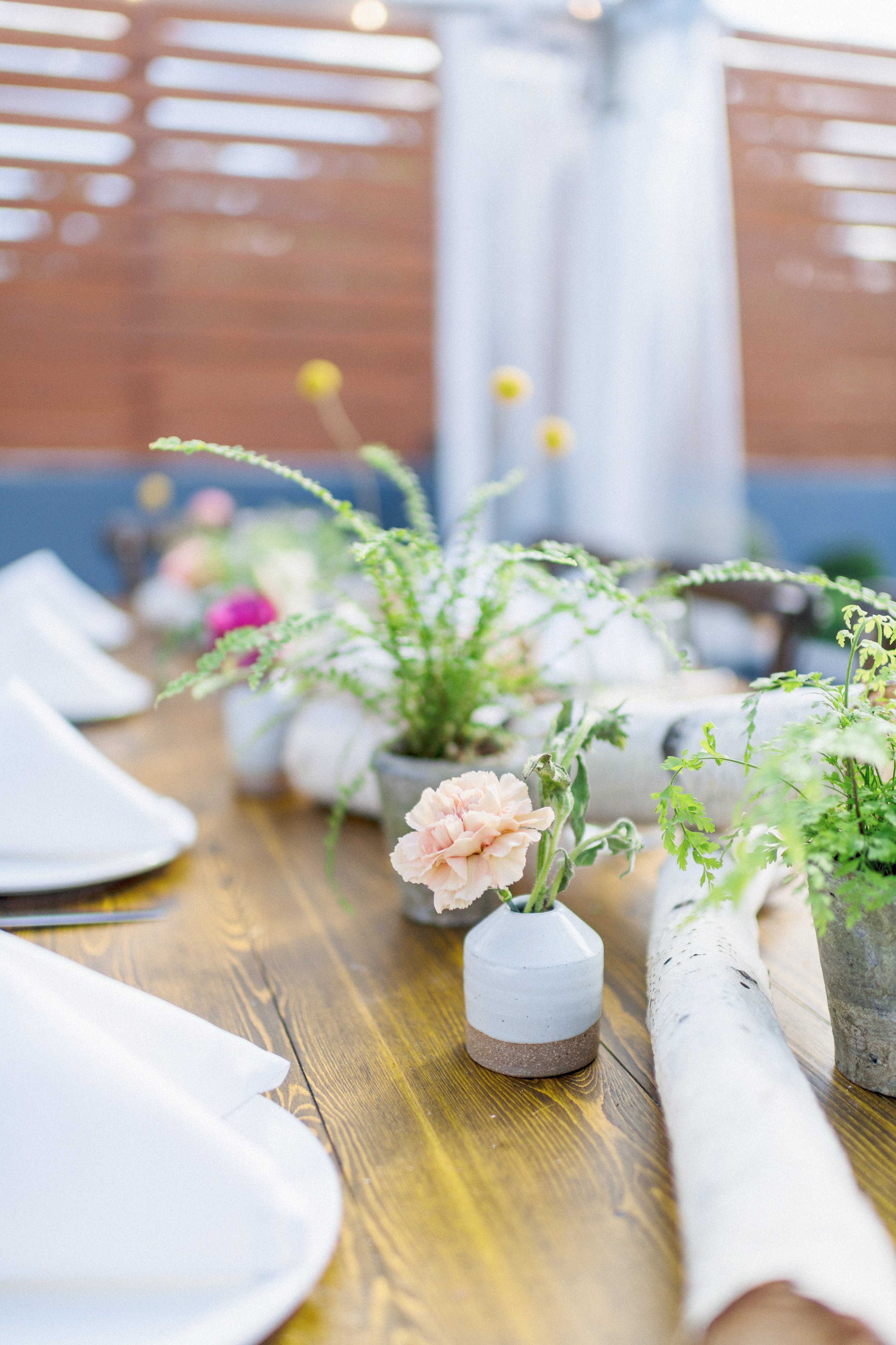 potted ferns birch logs and farm rustic pottery bud vases with carnations