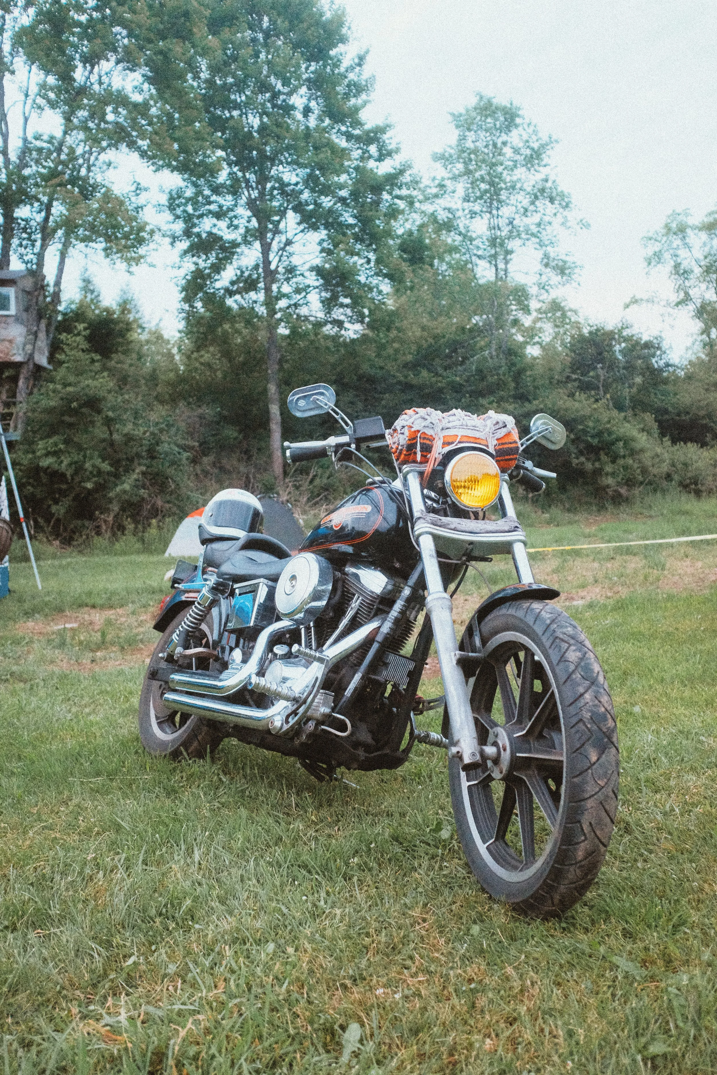DSCF1084.jpg