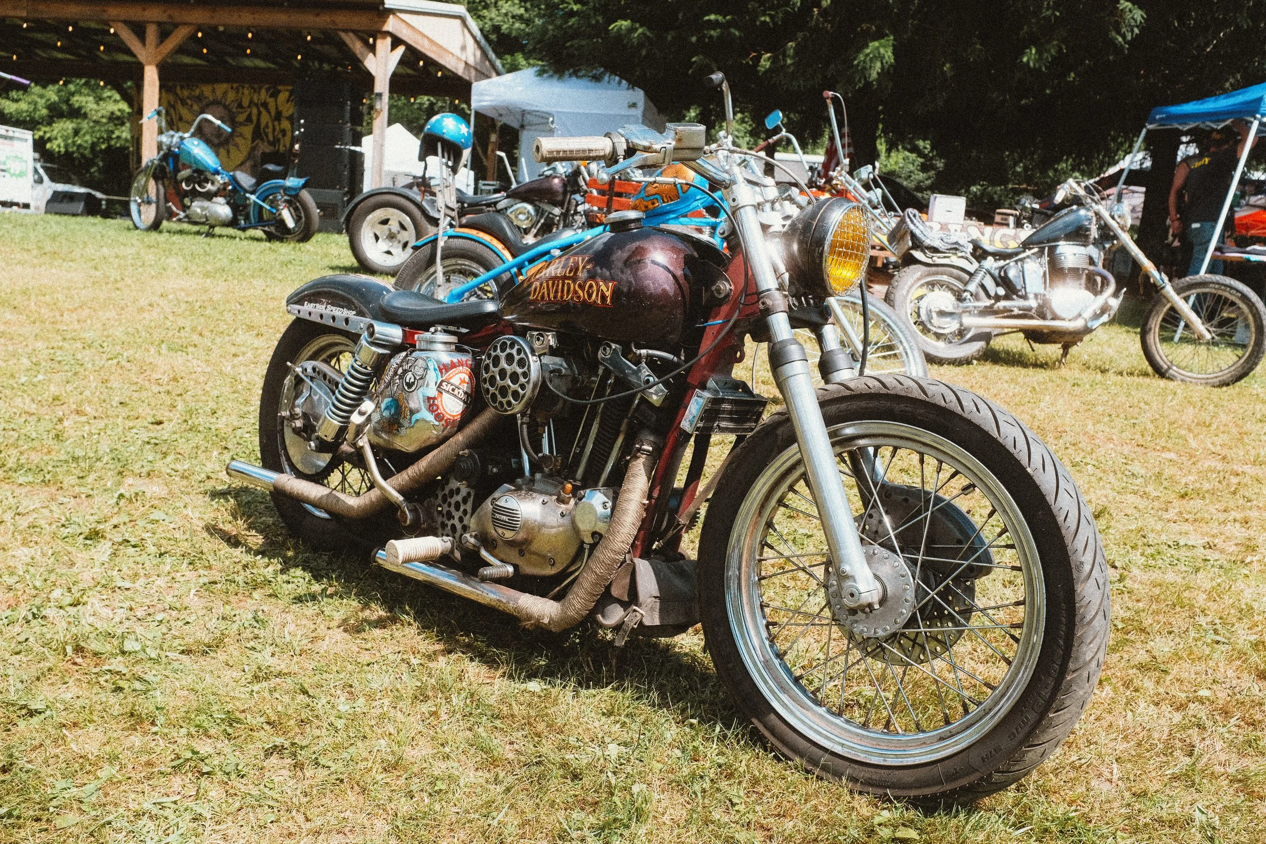 DSCF1033.jpg