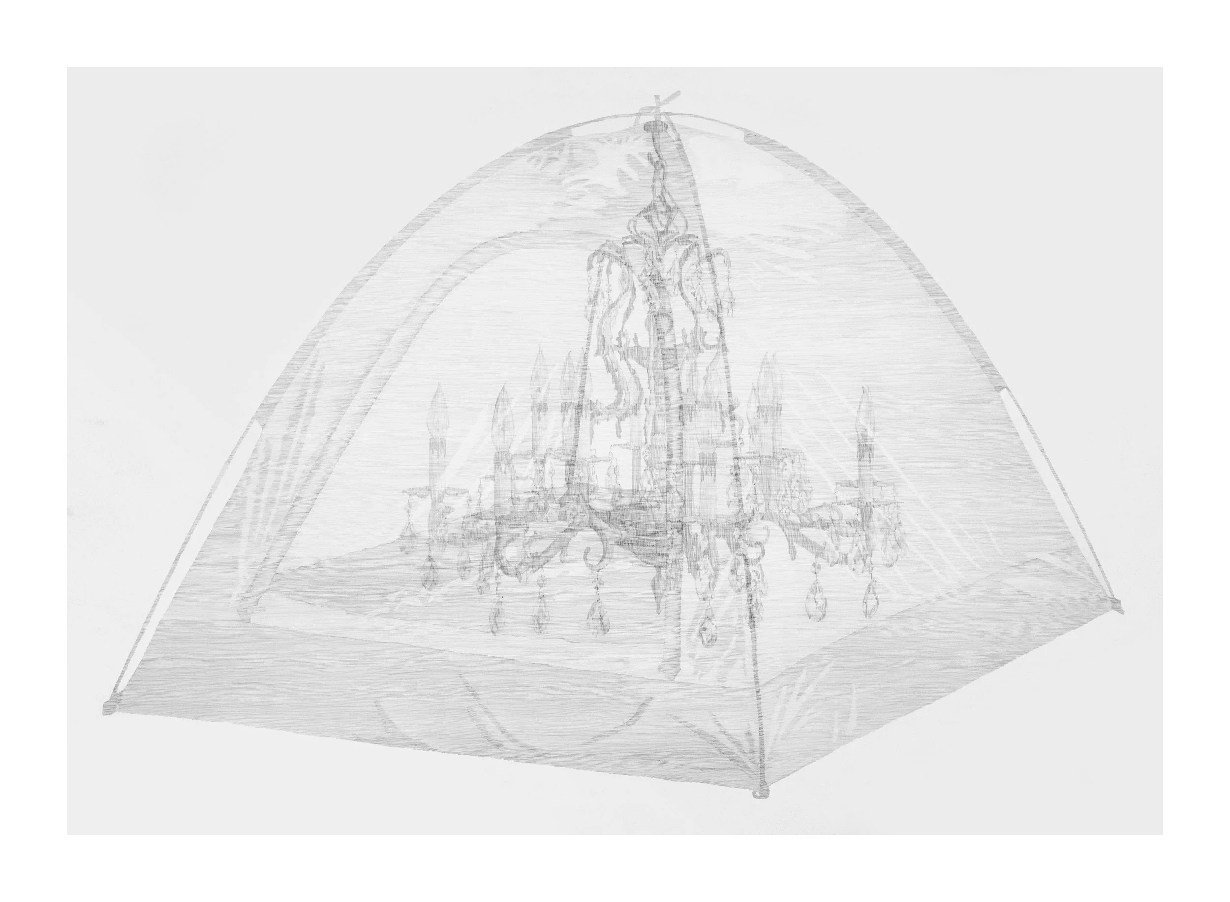 Bell Curve, 2016 graphite on paper. 50" x 72"