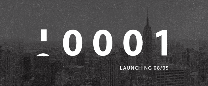 10001 horizontal animated.GIF