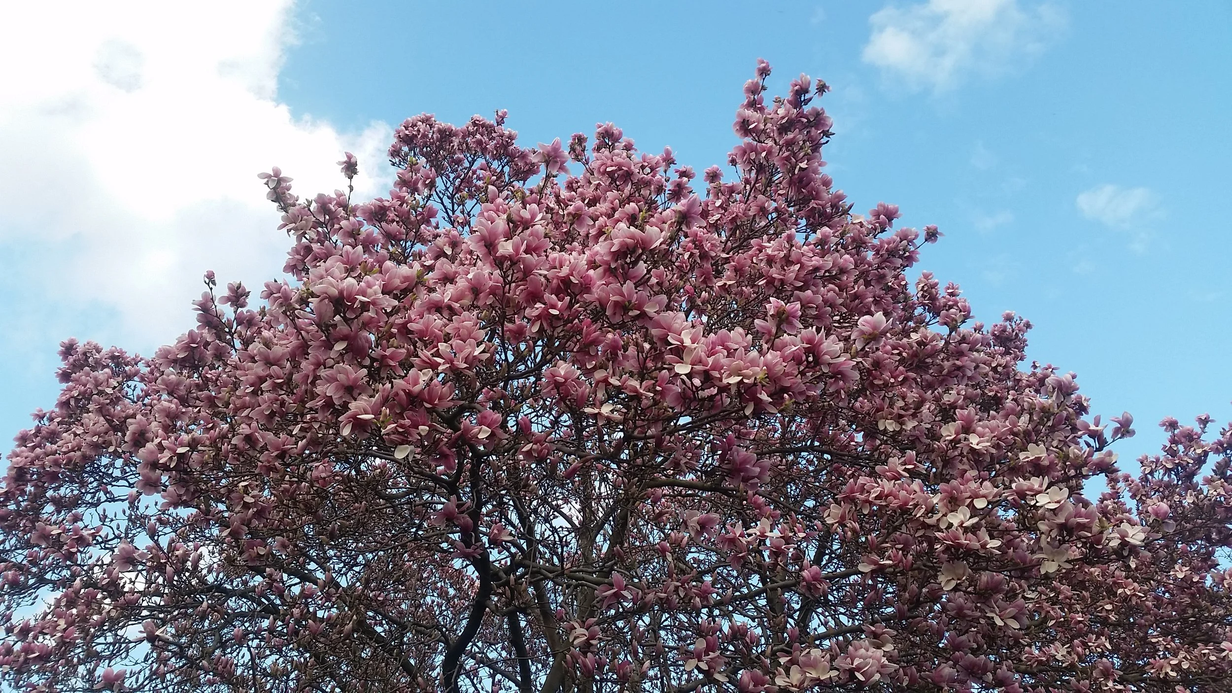 20150417_182002.jpg
