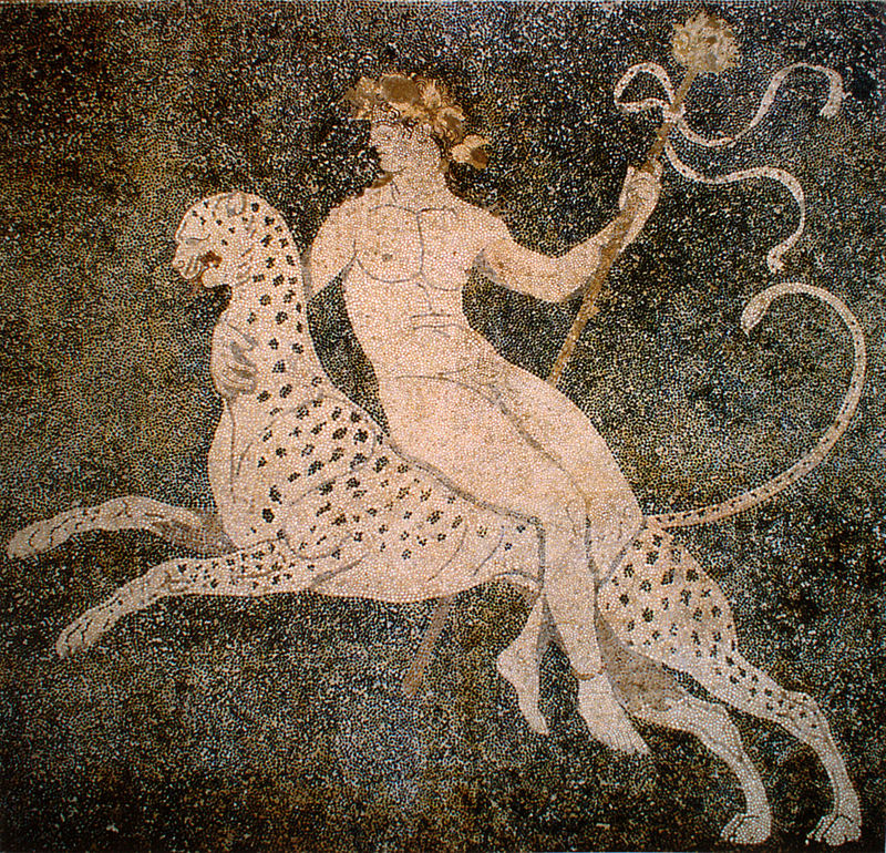 Dionysus riding a cheetah in a mosaic from Pella, Macedon, 4th century BCE