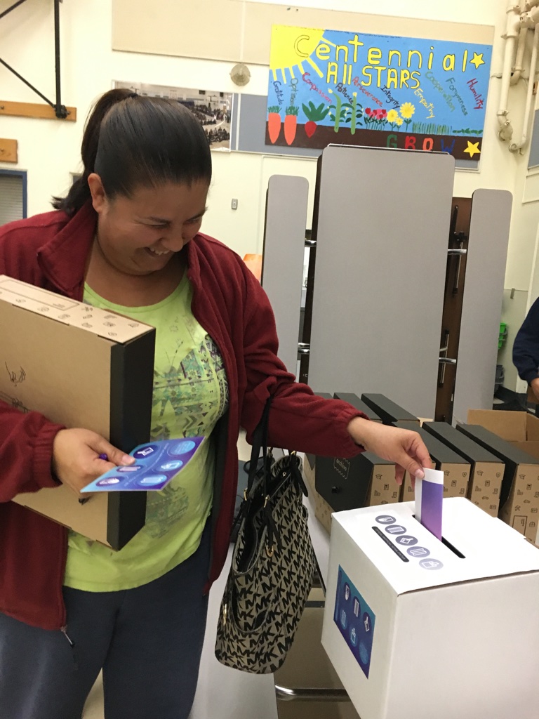   Official Unofficial Voting at an elementary school in Mt Vernon!  