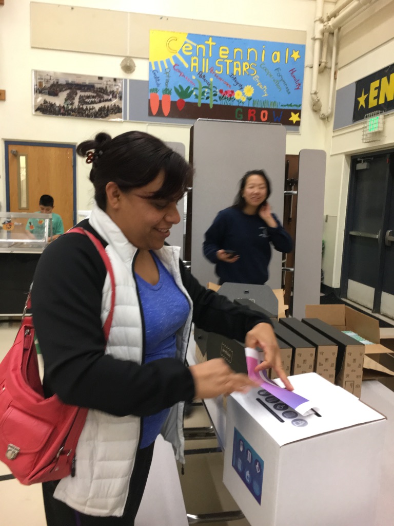   Official Unofficial Voting at an elementary school in Mt Vernon!  