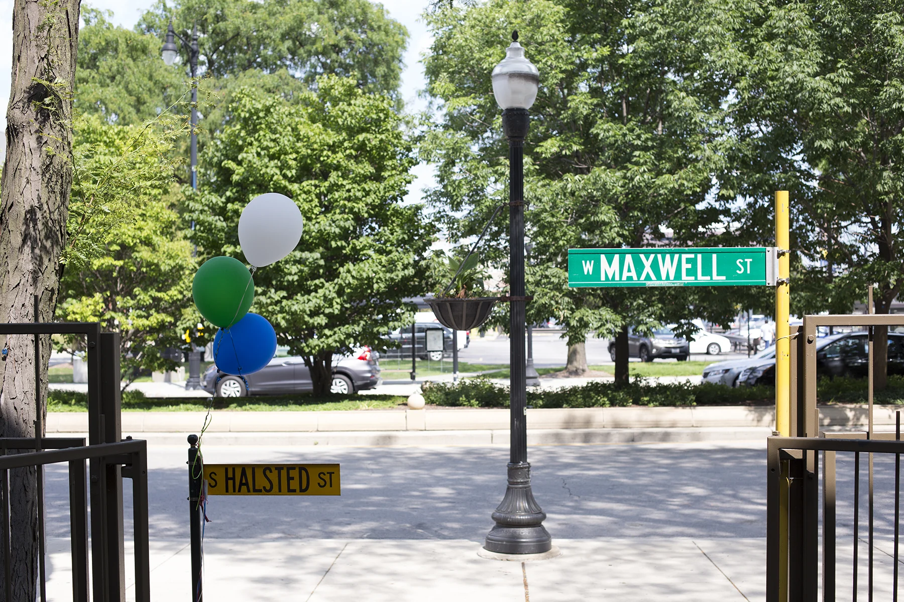 2017_0723_Maxwell_Street_104.jpg