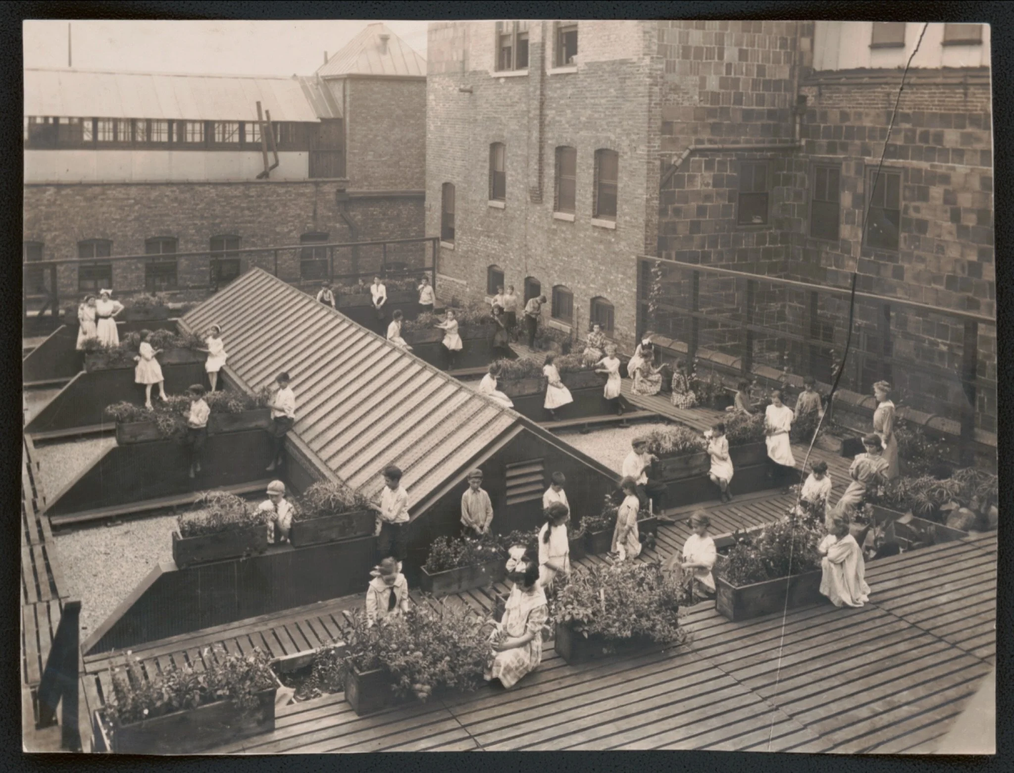 This spring, the Jane Addams Hull-House Museum will present PERENNIAL CITY: Experiments in Urban Gardening&mdash;an exhibition that explores how Chicagoans&mdash;past and present&mdash;have used gardening as a tool for creativity, care, and community