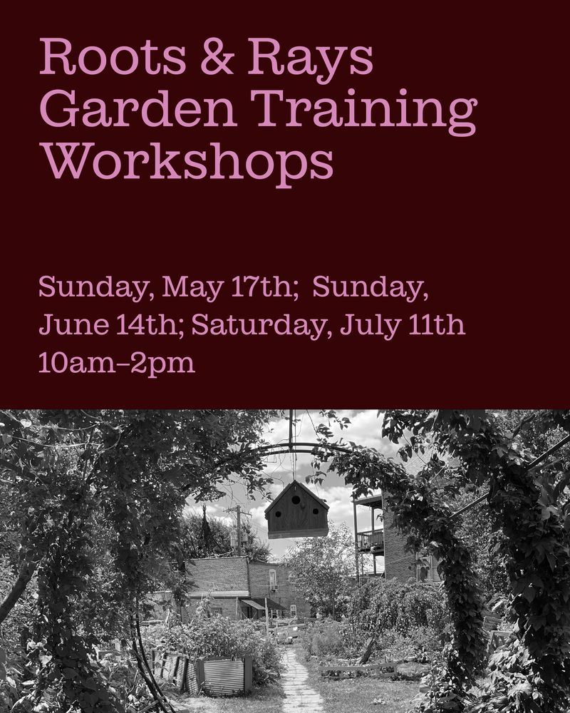 Garden Training Workshop with La Huerta Roots and Rays