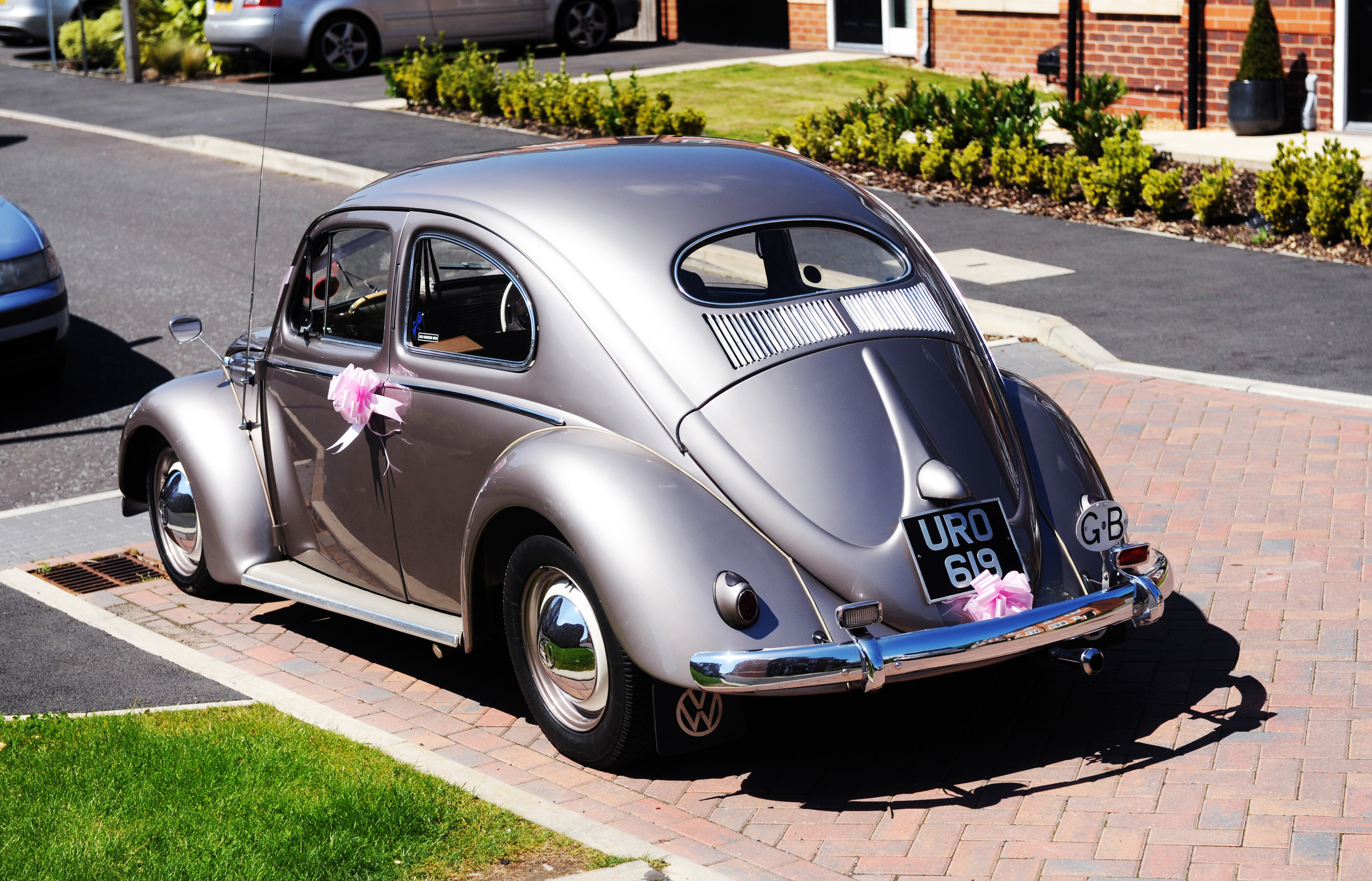 DSC_5337.JPG