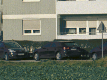 Over-exposed image - notice the colour shifts